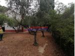 MOMBAROCCIO - CASA INDIPENDENTE DA RISTRUTTURARE