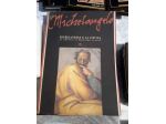 Michelangelo e la sistina  Libro