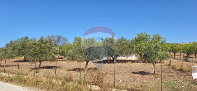Terreno in vendita a Noto - Foto 4
