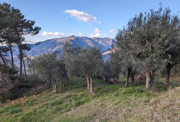 Rustico in vendita a Pietrasanta - Foto 16