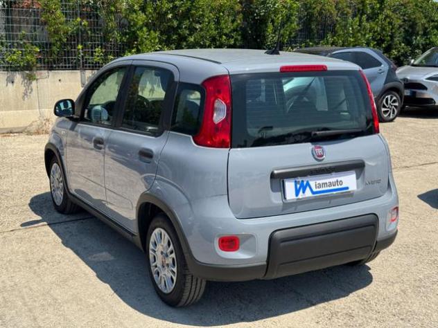 FIAT Panda Hybrid Citylife 1.0cc 70cv rif. 24016811 - Foto 6