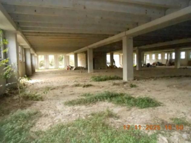 Immobile in asta di 5721 m² in vendita a Soveria Mannelli - Foto 5