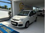 FIAT Panda 1.0 FireFly S&S Hybrid da €119,00 mensili  rif. 22487065