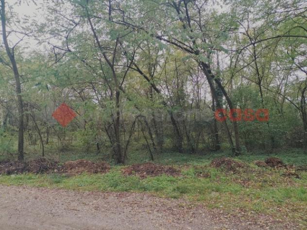Terreno di 1200 m² in vendita a Cressa - Foto 3