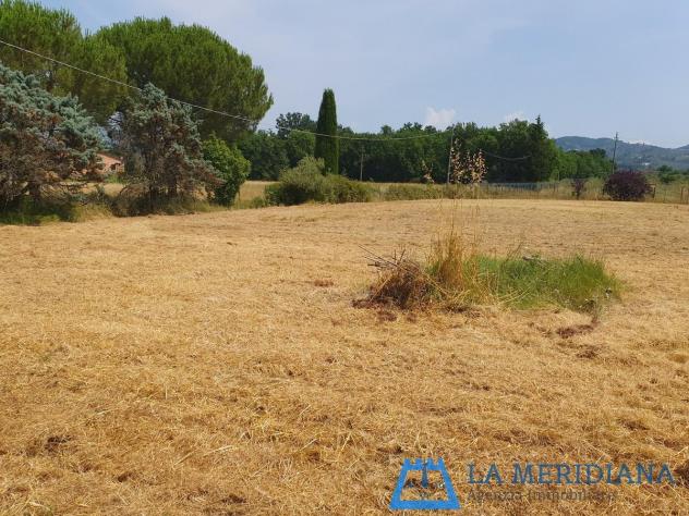 Terreno agricolo in vendita a Lamporecchio 10000 mq Rif: 1362349 - Foto 6