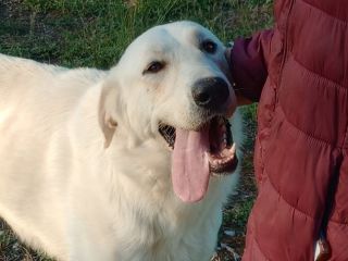 EDO, DOLCE CUCCIOLONE