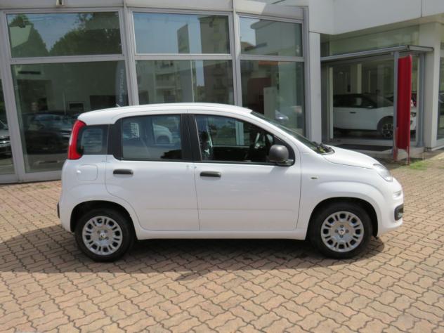 FIAT Pandina 1.0 FireFly 65cv S&S 6m Hybrid Pop - Foto 3