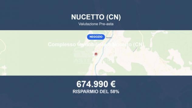 Immobile in asta di 19293 m² in vendita a Nucetto