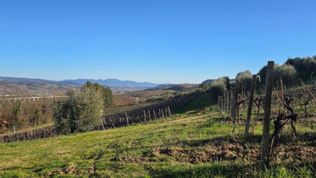 Casale in vendita a Castel Viscardo - Foto 7