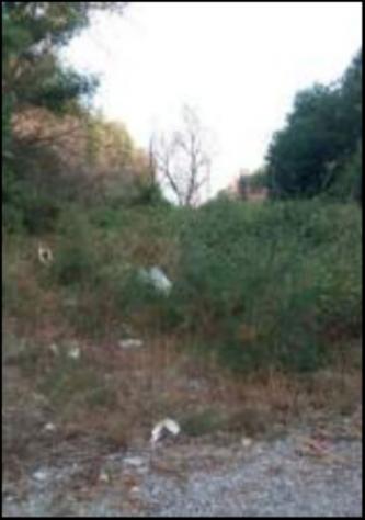 Immobile in asta di 181660 m² in vendita a Cerzeto - Foto 2
