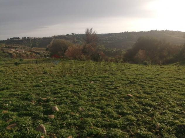 Terreno Industriale in vendita a Motta Sant'Anastasia - Foto 7