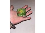 SCATOLA PICCOLA IN METALLO RIGIDO VINTAGE ANNI ‘90 UNISEX CON CHIUSURA A PRESS