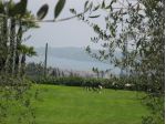 Terreno Residenziale - Roè Volciano . Rif.: 19 T Roè Volciano