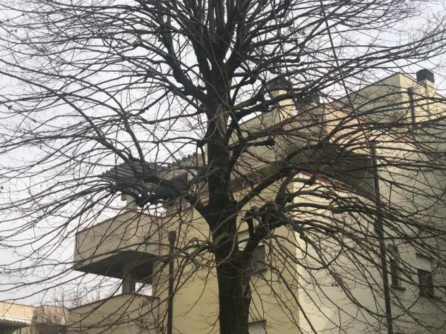 Attico in vendita a Reggio nell'Emilia - Foto 3