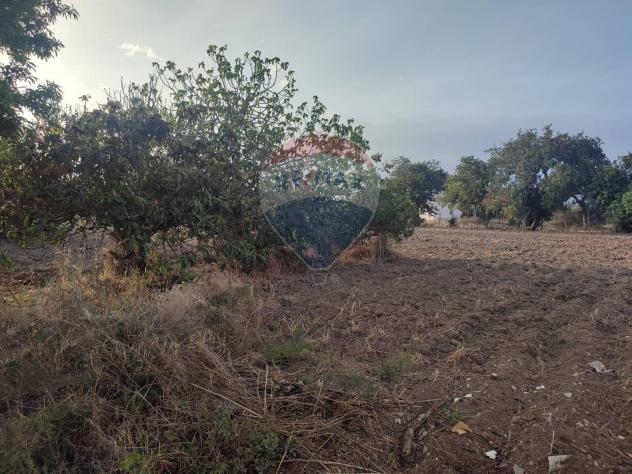Villa o villino in vendita a Scicli, Scicli - Foto 5