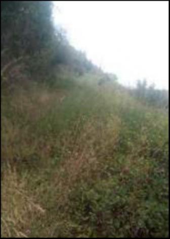 Immobile in asta di 181660 m² in vendita a Cerzeto - Foto 9