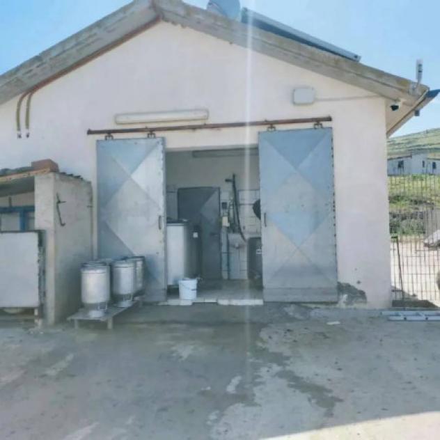 Immobile in asta di 2000 m² in vendita a Enna - Foto 4