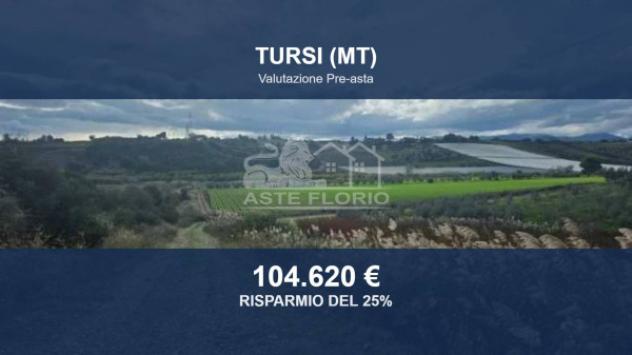 Immobile in asta di 76860 m² in vendita a Tursi