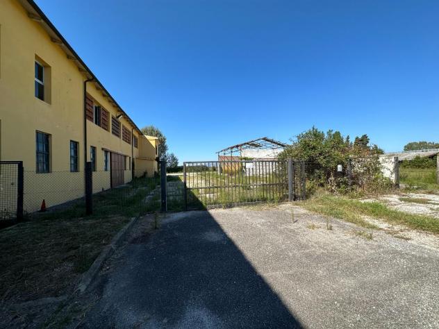 Capannone artigianale in affitto a Migliarino - Vecchiano 790 mq Rif: 1303676 - Foto 8