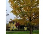 VILLA IN VENDITA NEL VERDE - ZONA CHRIST - VICINANZE CENTRO CITTA'