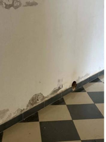 Immobile in asta di 85 m² in vendita a Noventa Padovana - Foto 12