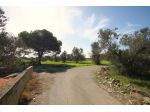Terreno agricolo