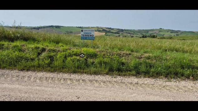 San costanzo proponiamo in vendita azienda agricola di circa 18 ettari. il terreno gode di un'ottima esposizione ed è facilmente raggiungibile dalle p - Foto 5