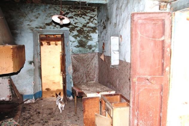 Grotte di castro - Vendesi casale in pietra da ristrutturare e 23 ha di terreno - Foto 9