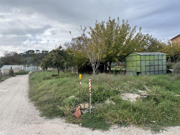 ALBANO LAZIALE - Foto 7