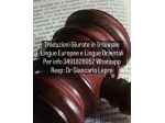 Traduttore Giurato del Tribunale di Napoli