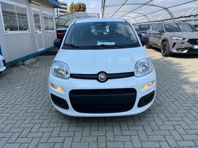 FIAT Panda Panda 1.0 firefly hybrid s&s Icon - Foto 2