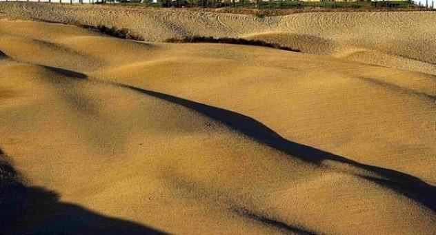 Terreno agricolo in vendita a Asciano 1100000 mq Rif: 1305628