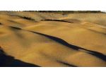 Terreno agricolo in vendita a Asciano 1100000 mq  Rif: 1305628