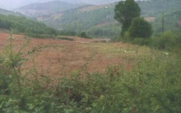 Immobile in asta di 156406 m² in vendita a Abriola - Foto 2