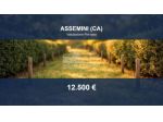 Immobile in asta di 1564 m² in vendita a Assemini
