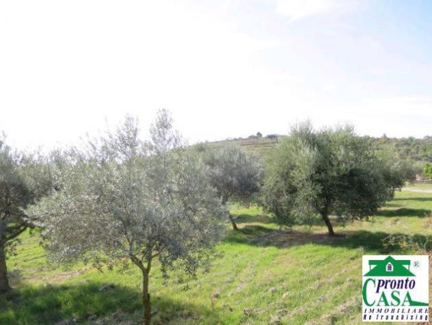 Terreno agricolo a Giarratana con pozzo artesiano - Foto 3