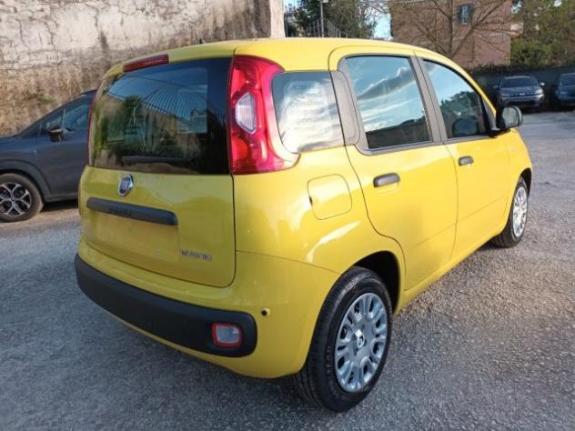 FIAT Panda 1000 HYBRID PANDINA POP 65CV ITALIA rif. 23999457 - Foto 4