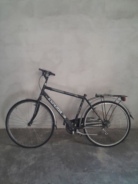 bicicletta - Foto 2