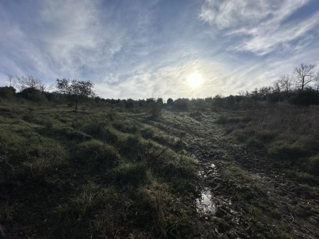 BIVIO DI RAVI IN POSIAZIONE PANORAMICA CASALE CON LAGO - Foto 8