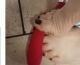 Bbw mass... Tel:3791905846