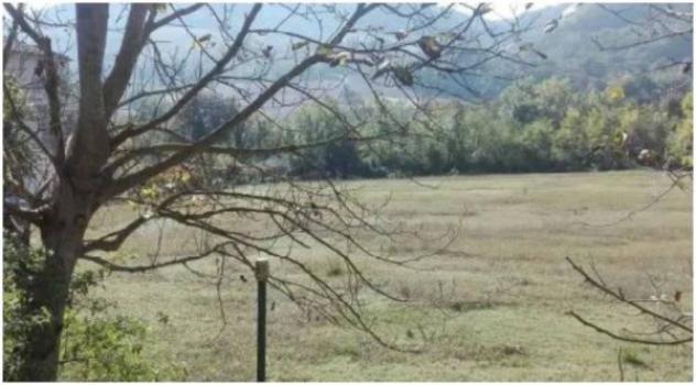 Immobile in asta di 25966 m² in vendita a Acqualagna - Foto 2