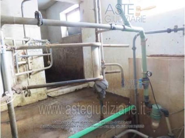 IMMOBILI-IMMOBILE COMMERCIALE-Via Forcella, 67010 Teora AQ, Italia - Foto 5