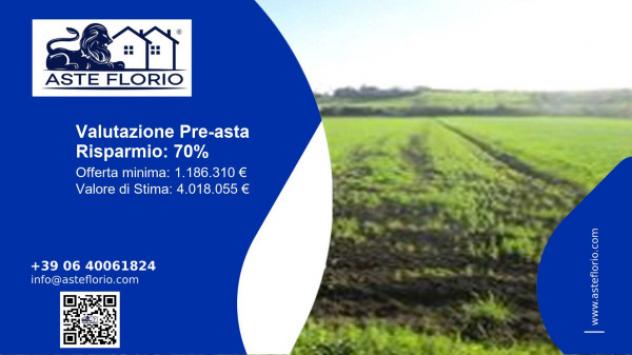 Immobile in asta di 83314 m² in vendita a Mondolfo