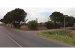 Terreno Agricolo - San Severo . Rif.: Cod. rif 3283324VCG