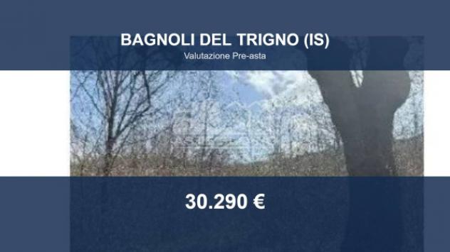 Immobile in asta di 52058 m² in vendita a Bagnoli del Trigno