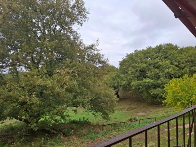 Rustico in vendita a Manciano 600 mq Rif: 1357872 - Foto 10