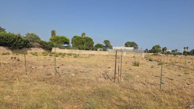Seminativo in vendita a Siracusa - Foto 5