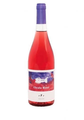 VINO ROSATO UVE NEGROAMARO PUGLIA - CANTINE FELLINE - "CICALA ROSè"