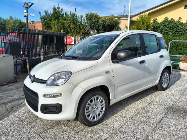 FIAT Panda 3ª serie Panda 1.0 FireFly S&S Hybrid Icon