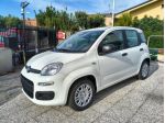 FIAT Panda 3ª serie Panda 1.0 FireFly S&S Hybrid Icon